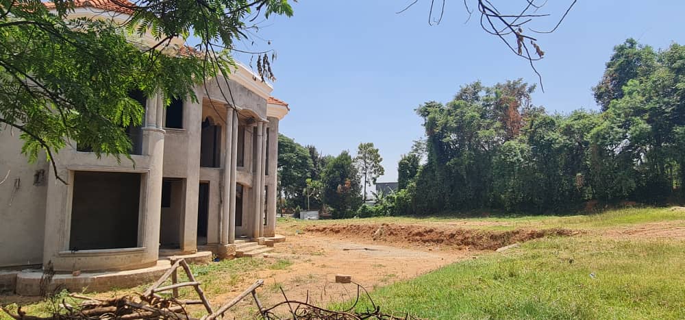 WhatsApp Image 2023-03-13 at 9.32.43 AM 1.jpeg